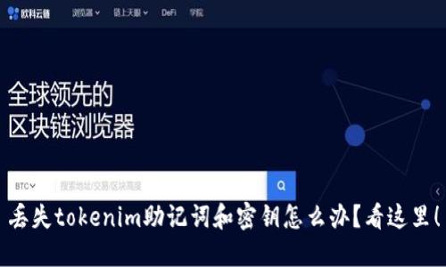丢失tokenim助记词和密钥怎么办？看这里！