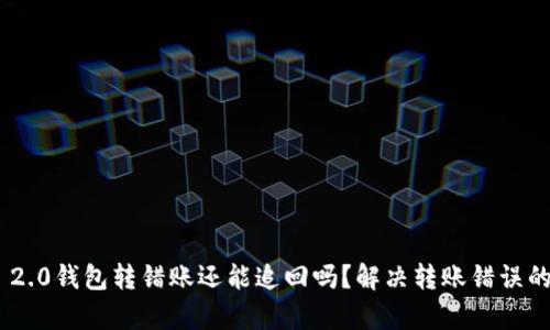 Tokenim 2.0钱包转错账还能追回吗？解决转账错误的有效方案