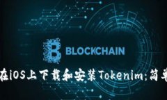 如何在iOS上下载和安装Tokenim：简单指南
