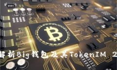 畅玩DeFi世界：深入解析Big钱包及其TokenIM 2.0的优