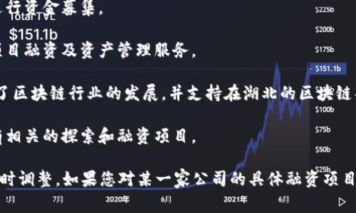 在湖北省内，有几家公司专注于区块链融资、技术开发和应用推广。以下是几家较为知名的湖北区块链融资公司：

1. **武汉链信科技有限公司**：专注于区块链技术的研发与应用，提供融资解决方案。
  
2. **云链科技**：致力于区块链技术在金融和供应链领域的落地应用，提供相关的融资服务。 
  
3. **武汉链投科技有限公司**：专注于区块链投资和融资服务，帮助项目方进行资金募集。

4. **湖北数字资产交易中心**：一个新兴的区块链数字资产交易平台，提供项目融资及资产管理服务。

5. **湖北省区块链协会**：虽然不是直接的融资公司，但作为行业协会，促进了区块链行业的发展，并支持在湖北的区块链项目融资。

6. **小米金融（湖北地区）**：虽然是大型公司的分支，但其在区块链技术上有相关的探索和融资项目。

请您注意，随着区块链技术的发展以及政策变化，相关公司及其服务可能会随时调整。如果您对某一家公司的具体融资项目或模式感兴趣，建议直接查询其官方网站或联系相关负责人以获取最新信息。