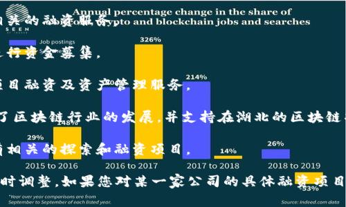 在湖北省内，有几家公司专注于区块链融资、技术开发和应用推广。以下是几家较为知名的湖北区块链融资公司：

1. **武汉链信科技有限公司**：专注于区块链技术的研发与应用，提供融资解决方案。
  
2. **云链科技**：致力于区块链技术在金融和供应链领域的落地应用，提供相关的融资服务。 
  
3. **武汉链投科技有限公司**：专注于区块链投资和融资服务，帮助项目方进行资金募集。

4. **湖北数字资产交易中心**：一个新兴的区块链数字资产交易平台，提供项目融资及资产管理服务。

5. **湖北省区块链协会**：虽然不是直接的融资公司，但作为行业协会，促进了区块链行业的发展，并支持在湖北的区块链项目融资。

6. **小米金融（湖北地区）**：虽然是大型公司的分支，但其在区块链技术上有相关的探索和融资项目。

请您注意，随着区块链技术的发展以及政策变化，相关公司及其服务可能会随时调整。如果您对某一家公司的具体融资项目或模式感兴趣，建议直接查询其官方网站或联系相关负责人以获取最新信息。