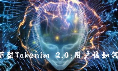 苹果下架Tokenim 2.0：用户该如何应对？