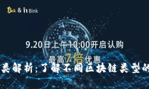 区块链的种类解析：了解不同区块链类型的特点与应用