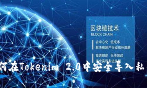 如何在Tokenim 2.0中安全导入私钥？