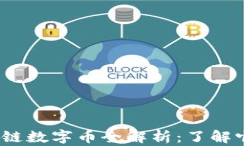 
2023年法定区块链数字币全解析：了解它们的优势与劣势