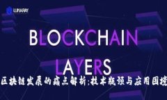 区块链发展的痛点解析：技术瓶颈与应用困境