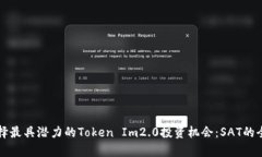 如何选择最具潜力的Token Im2.0投资机会：SAT的全面
