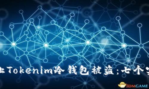 如何防止Tokenim冷钱包被盗：七个实用技巧