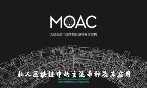 私人区块链中的主流币种及其应用