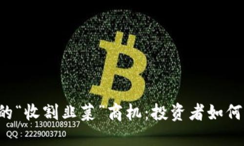 区块链中的“收割韭菜”商机：投资者如何避免陷阱？