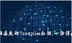 如何找回丢失的Tokenim私钥：一份详尽的指南