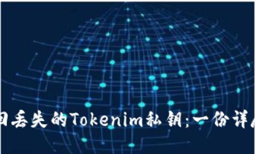 如何找回丢失的Tokenim私钥：一份详尽的指南