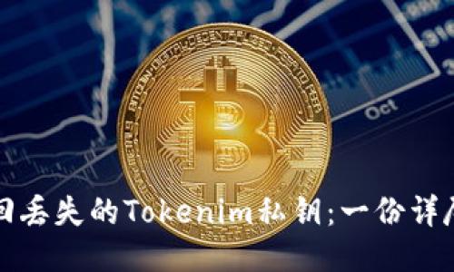 如何找回丢失的Tokenim私钥：一份详尽的指南