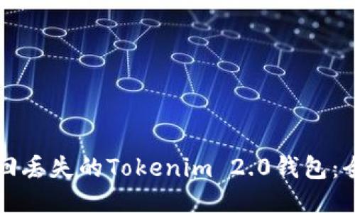 如何找回丢失的Tokenim 2.0钱包：全面指南