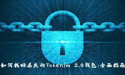如何找回丢失的Tokenim 2.0钱包：全面指南