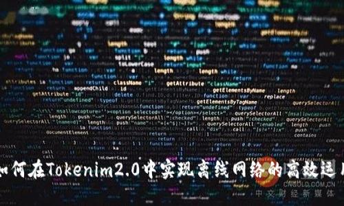 如何在Tokenim2.0中实现离线网络的高效运用