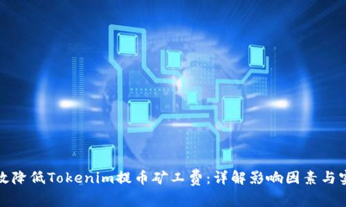 如何有效降低Tokenim提币矿工费：详解影响因素与实用技巧