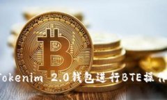 如何使用Tokenim 2.0钱包进行BTE操作？详细指南