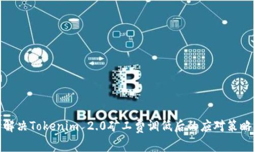 解决Tokenim 2.0矿工费调低后的应对策略