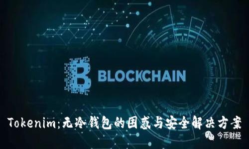 Tokenim：无冷钱包的困惑与安全解决方案