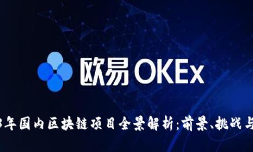 2023年国内区块链项目全景解析：前景、挑战与机遇