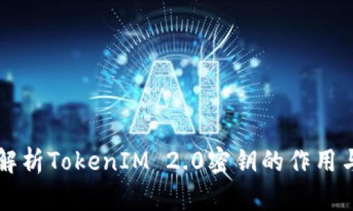 深入解析TokenIM 2.0密钥的作用与应用