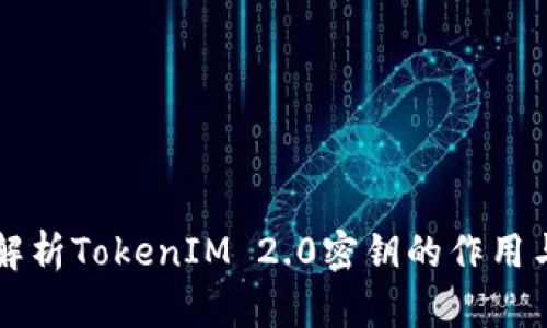 深入解析TokenIM 2.0密钥的作用与应用