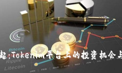 狗币的崛起：Tokenim平台上的投资机会与风险解析