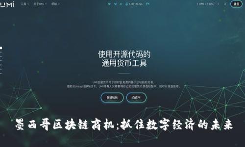 墨西哥区块链商机：抓住数字经济的未来