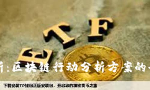 深入解析：区块链行动分析方案的全面指南