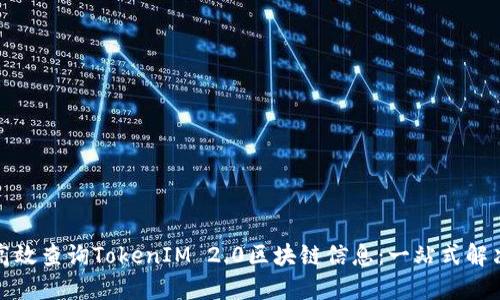 如何高效查询TokenIM 2.0区块链信息：一站式解决方案