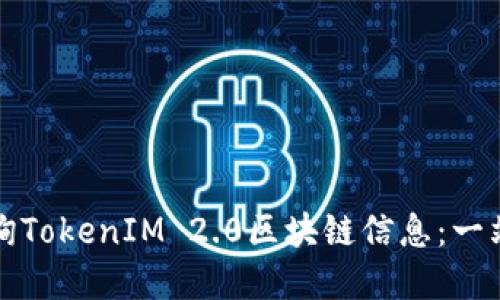 如何高效查询TokenIM 2.0区块链信息：一站式解决方案