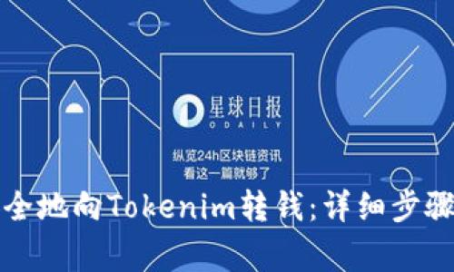 如何快速安全地向Tokenim转钱：详细步骤与注意事项