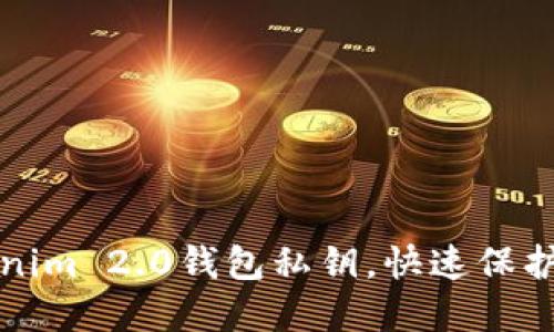 轻松导入Tokenim 2.0钱包私钥，快速保护你的数字资产