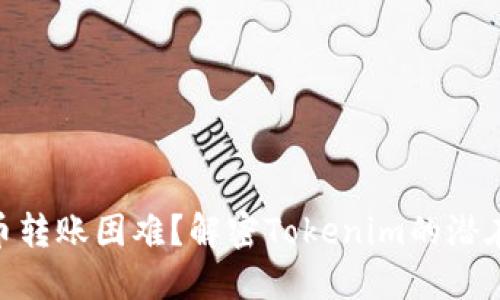 TRC20代币转账困难？解密Tokenim的潜在解决方案