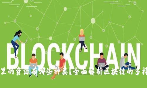 区块链里的资源有哪些种类？全面解析区块链的多样化资产