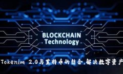 充分利用Tokenim 2.0与莱特币的结合，解决数字资产