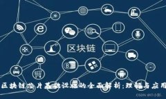 区块链芯片基础设施的全面解析：理解与应用