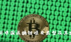 全面解析中国区块链项目类型及其发展潜力