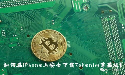 如何在iPhone上安全下载Tokenim苹果版？