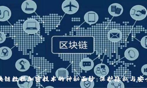 : 
揭开区块链数据加密技术的神秘面纱：保护隐私与安全的利器
