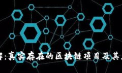 深入了解：真实存在的区块链项目及其应用场景
