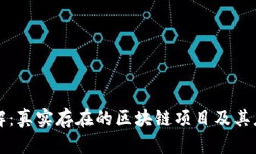 深入了解：真实存在的区块链项目及其应用场景