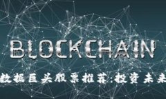 区块链数据巨头股票推荐：投资未来的机会