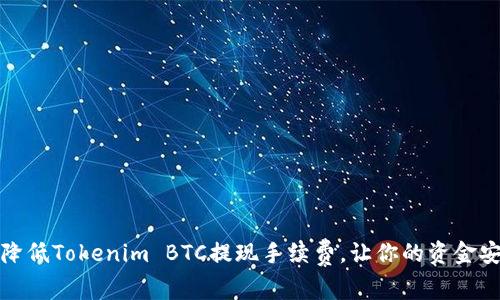 如何高效降低Tokenim BTC提现手续费，让你的资金安全更省心