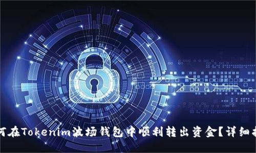 如何在Tokenim波场钱包中顺利转出资金？详细指南