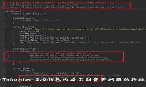 解决Tokenim 2.0钱包内看不到资产问题的终极指南