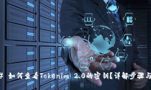 ### 如何查看Tokenim 2.0的密钥？详解步骤与技巧