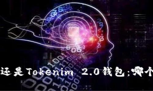 选择Kcash还是Tokenim 2.0钱包：哪个更适合您？